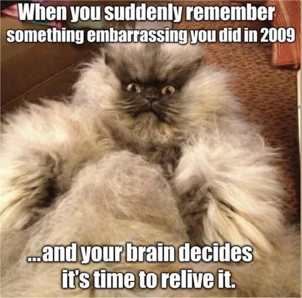 embarrassing caturday majorgeeks.jpg
